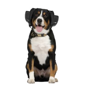 DOG+